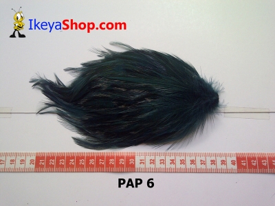 bulu PAD polos PAP 6   feather  large2